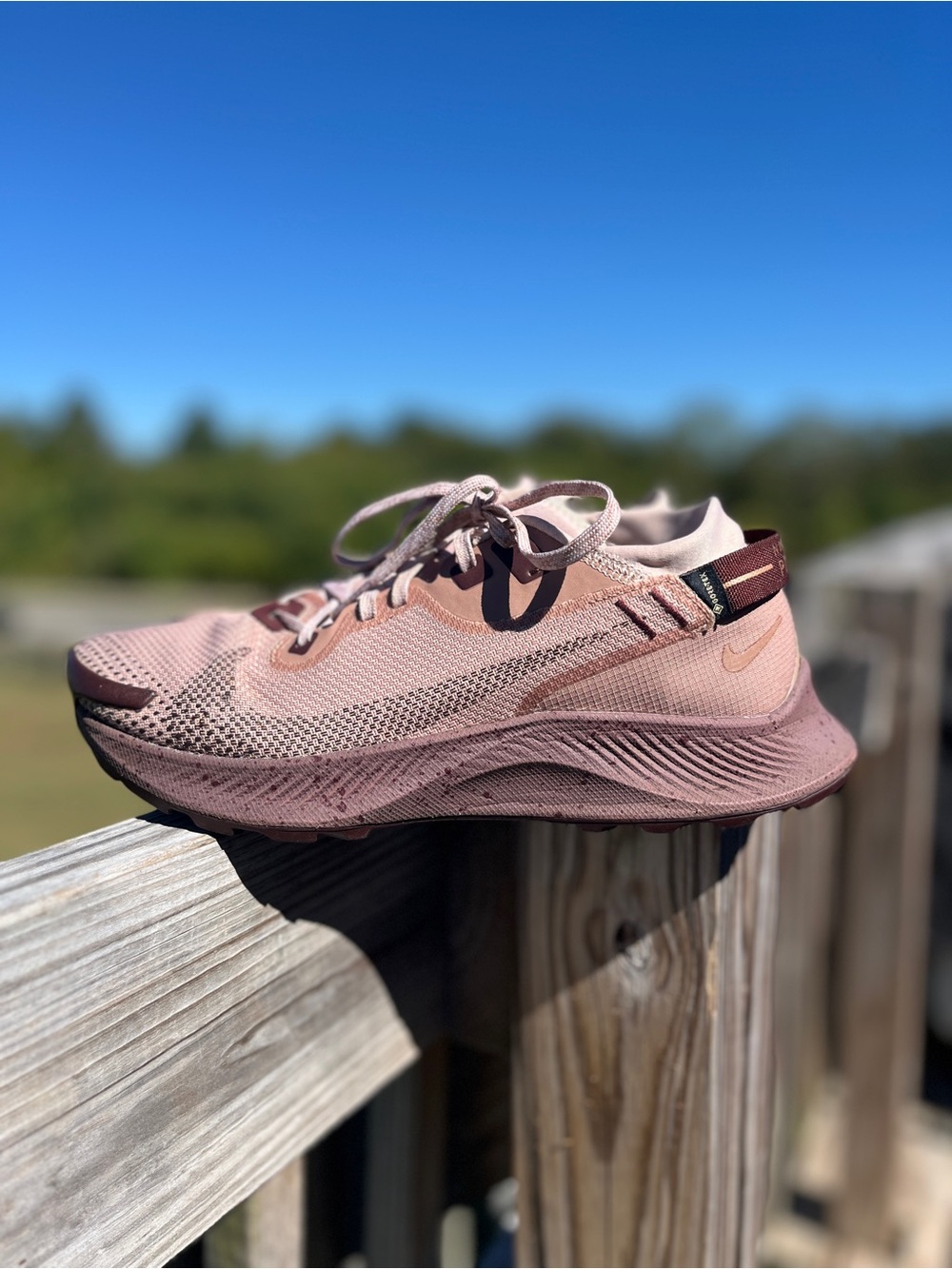 Nike Pegasus Trail 2 Gore-Tex 'Desert Dust Mauve' Size 10 Womans